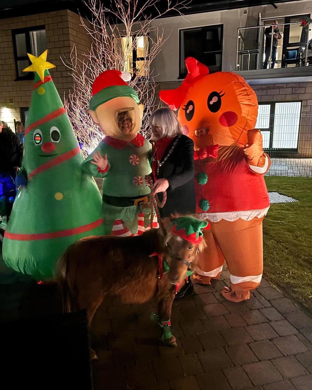 Christmas at a local carehome